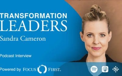 Introduction of a global brand platform using the example of a global automobile manufacturer